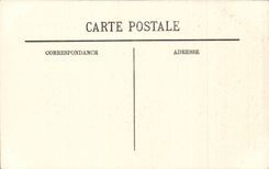 Langeais - Le Chateau - Le Parc - CPA 