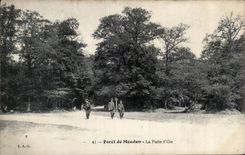 Taladro de CPA de Meudon el ganso de la pierna
