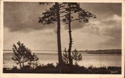 CPA Moors Evening storm on pond Aureilhan close Mimizan