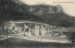 Chartreuse grande de la cria de CPA