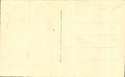 CPA Strasbourg the cathedral