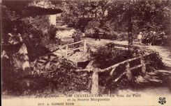 CPA Chatel Guyon una esquina del parque y de la fuente de la margarita