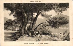 CPA Dimensions azure the course Martin