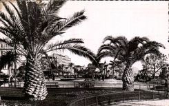 CPA Cannes the new gardens Flame great speedboat week Motorcycle MOTOR BIKE