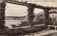 CPA Menton Seen from between the flowers Pergola
