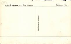 CPA Arbison the forest of fir trees