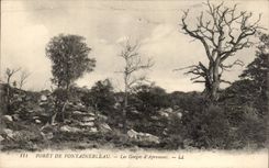 CPA forest of Fontainebleau the throats Apremont