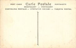 CPA Chartres the cathedral angel of the Meridian line