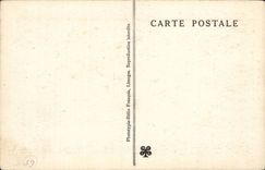 CPA Caves of Betharram Column of palm trees