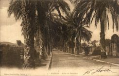 CPA Hyeres Allee de palmeras