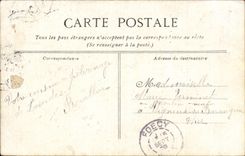 CPA Lourdes the View from above basilica