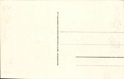 CPA Strasbourg the bridge of Kehl