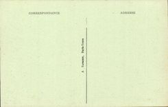 CPA Chinon the castle