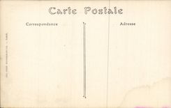 CPA Pau Seen on the castle and Gave