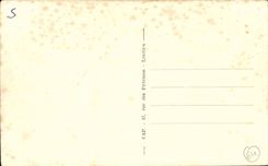 CPA Pau Boulevard of the Pyrenees In the content the palate winter