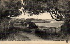 CPA the Office Under Yeuses