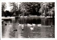 CPSM By zoological Cleres zoo