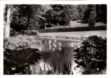 CPSM By zoological Cleres zoo