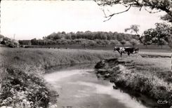 Saint Saens - the Game preserve - CPA