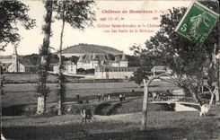 Castle of Mesnieres - Hill Saint Amador and the Castle Cows - CPA