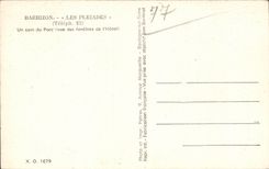 CPA Barbizon pleiads a corner of the park seen of the windows of hotel