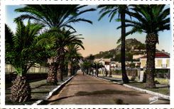 Avenida de CPSM Hyeres Godillot