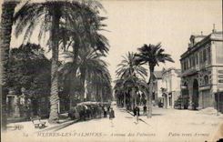 CPA Hyeres la avenida de las palmeras de las palmeras