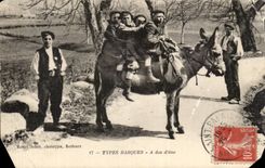 Folklore - Costumes - Basques Types - has back Ane - donkey - CPA