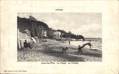 Pinos de Juan - la playa - el bosque del pino - CPA