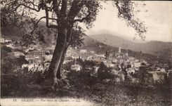 - La vista entra en los Aceituna-Arboles - CPA graso