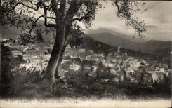 - La vista entra en los Aceituna-Arboles - CPA graso