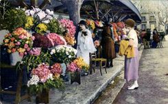 Cannes - Market with the Flowers - CPA