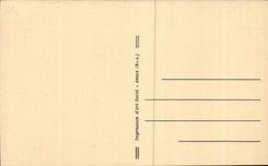 Entrevaux - View and Fort - CPA