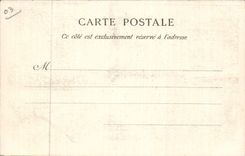 Vichy - Le Parc et Galerie Couvert - CPA