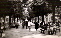 Vichy - Le Parc - CPA 