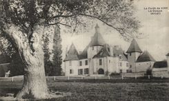 The forest of Viry - the Keep - CPA