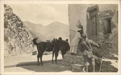 Real photo Militaria Soldiers