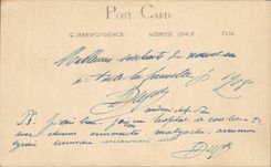 Real photo Militaria Soldier