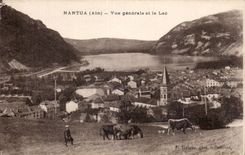 Nantua - View and the Lake Shepherd and cows - CPA