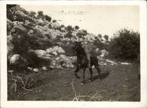 CARTE PHOTO Militaria Cavalier 