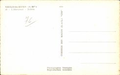 Weak CPA the Roses feeding trough reflections