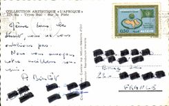 Africa - Arfrica - Southern Types of the Track - Camel - Camel - CPA