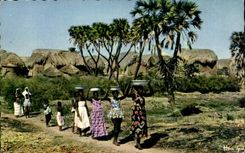 Afrique - Africa - L Afrique en Couleurs - Sur le Chemin de la Fontaine - CPA