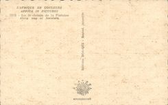 Africa - Africa - Africa Colors - On the Way of the Fountain - CPA