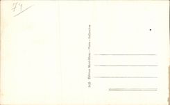 CPA Sallanches the public garden and needles of Varens