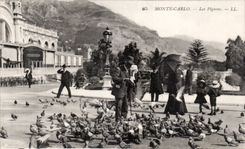CPA Monte Carlo Monaco Les pigeons 