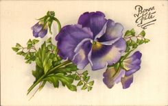 Fleurs Pensee - Pansy - Bonne Fete - CPA 