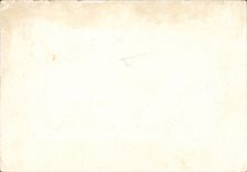 Fleurs Pensee - Pansy - CPA 