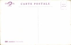 Fleurs Pensee - Pansy - CPA 