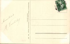 Fleurs Carnation - CPA 